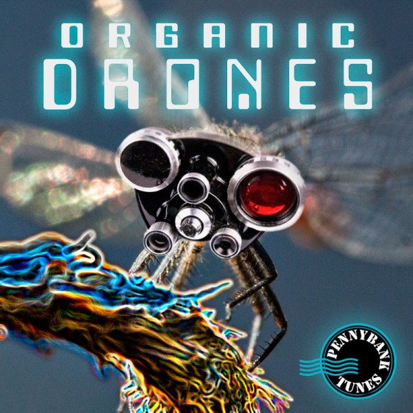 PNBT 1038 ORGANIC DRONES